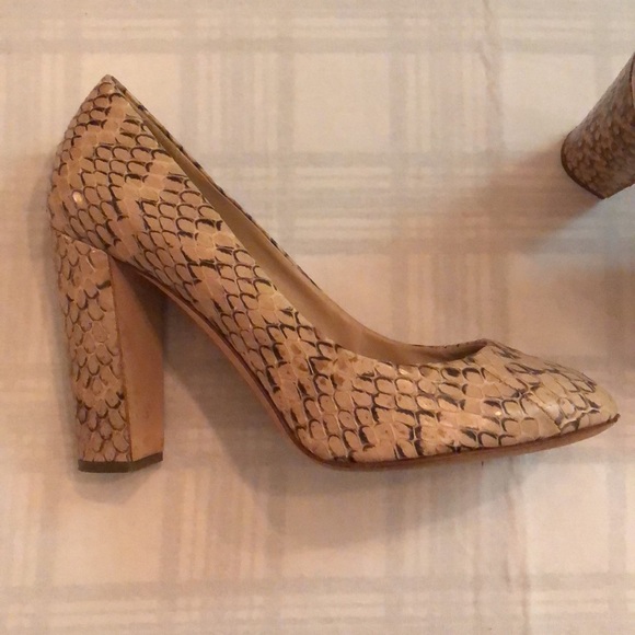 J. Crew snakeskin heel. Size 7. - Picture 3 of 9